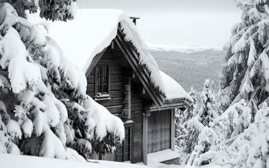 Why Winter Is the Best Time to Use a Thermal Camera at Home?