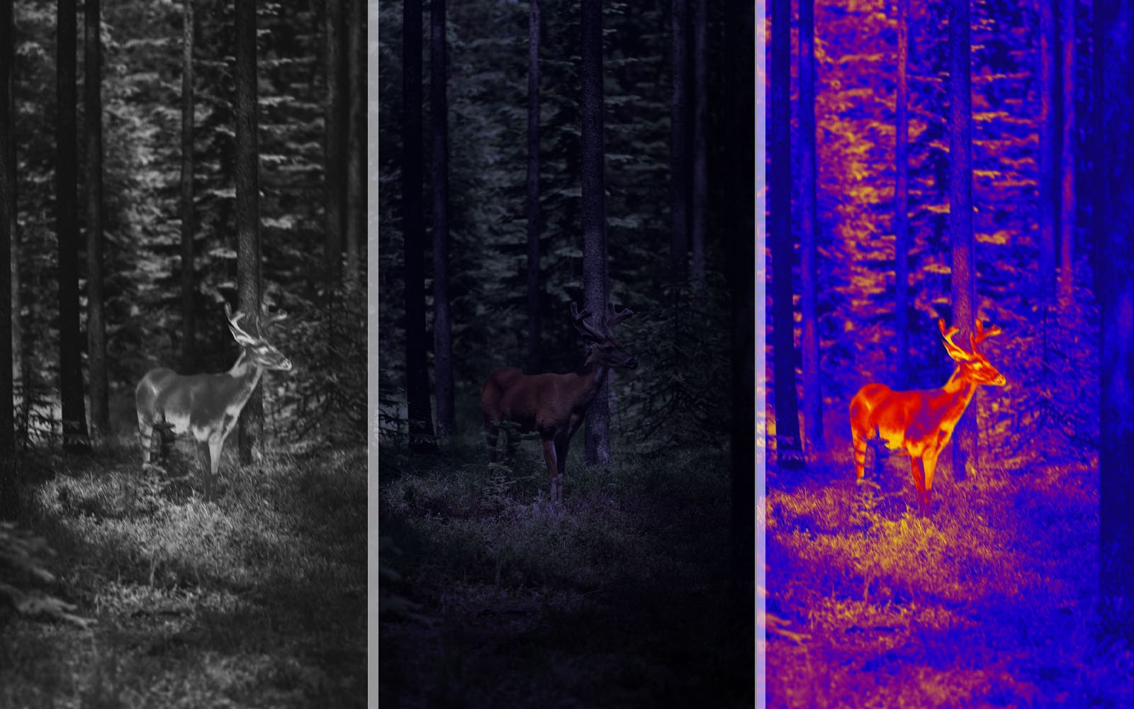 An Ultimate Guide To Thermal Cameras and Beyond – PerfectPrime
