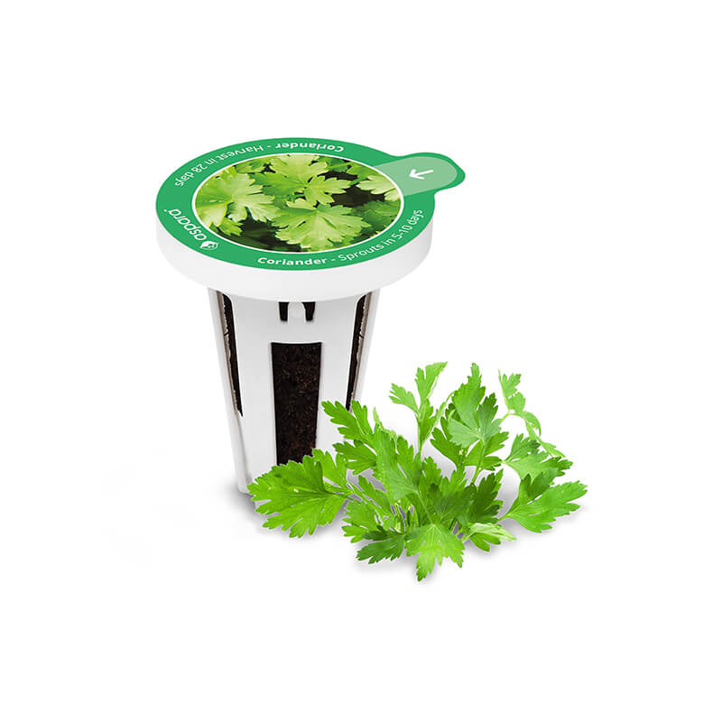 AS9014 Coriander (8 Capsules) - perfect-prime-technology