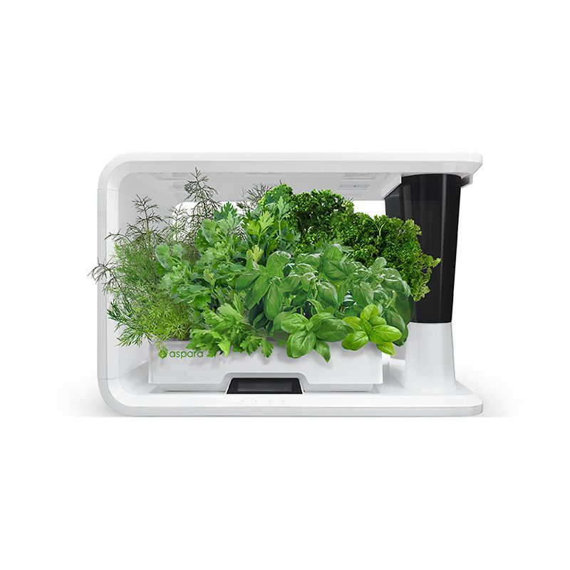 AS9002 Herb Selected (8 Capsules) - perfect-prime-technology