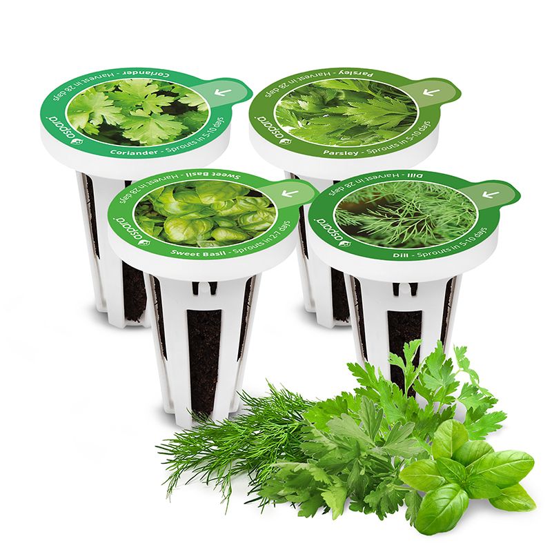 AS9002 Herb Selected (8 Capsules) - perfect-prime-technology