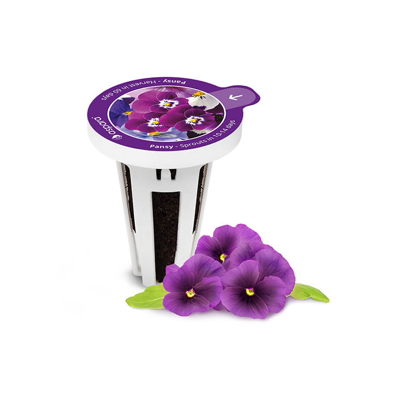 aliexpress plant seeds New Hydroponic Seed kits
