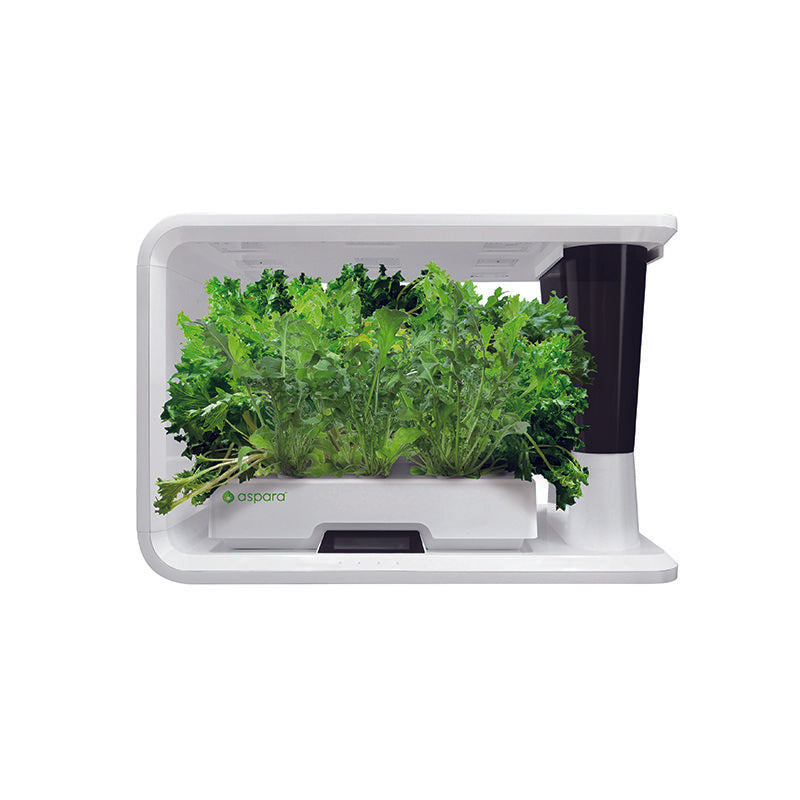 AS9003 Salad Special (8 Capsules) - perfect-prime-technology