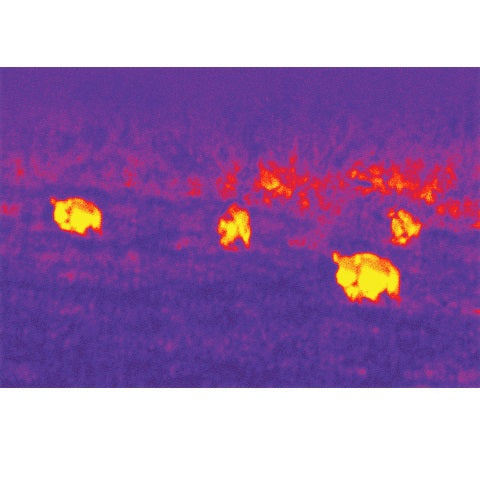 IR-CT-AAA Seek Thermal CompactXR