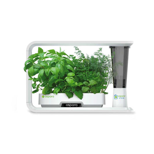 AS1002 aspara™ STEM Hydroponic Smart Grower (Package A: aspara STEM + Seed Kits)