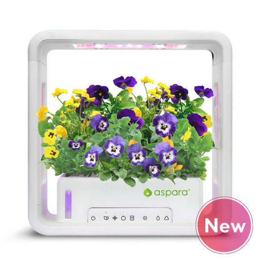 aspara® Stylist Lite Smart Grower