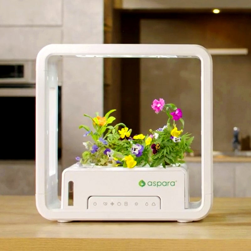AS2022 aspara® Stylist Lite Smart Grower