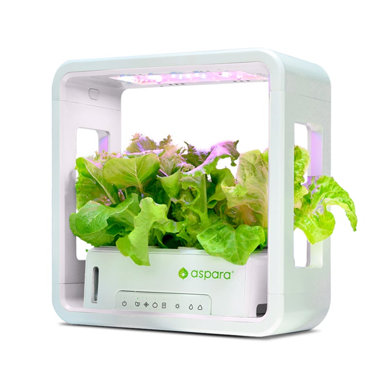 AS2022 aspara® Stylist Lite Smart Grower