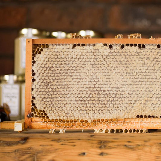 Beehive honey rack