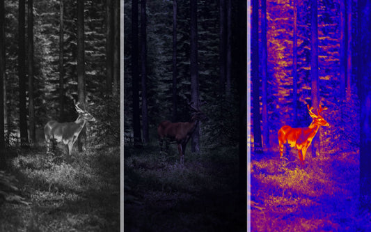 image of dear in three different colors, grey, night and thermal