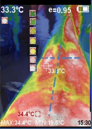 Thermal image of leg from PerfectPrime thermal camera