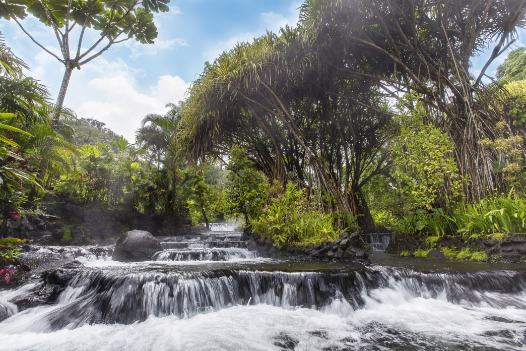 Banner image of river flowing down with trees in background