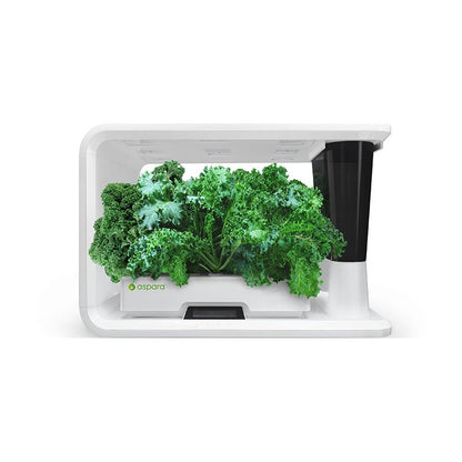 AS9004 Blue Curled Kale (8 capsules) - perfect-prime-technology