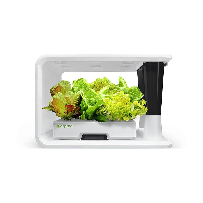AS9001 Lettuce Selected (8 Capsules) - perfect-prime-technology