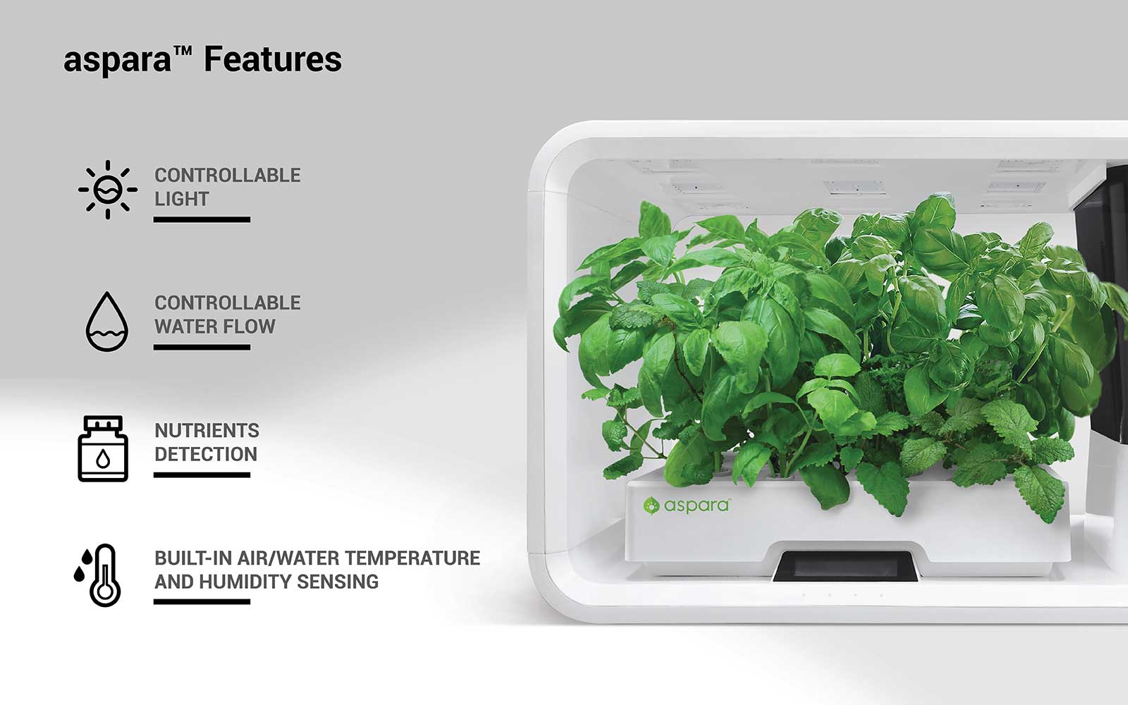 AS1003 aspara™ STEM Hydroponic Smart Grower (Package B: aspara STEM ...