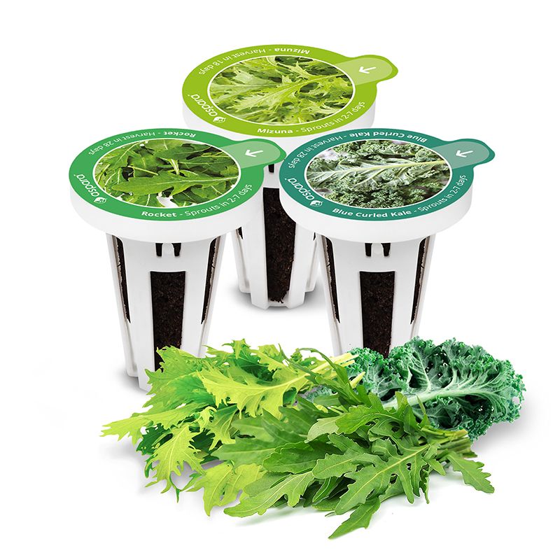 AS9003 Salad Special (8 Capsules) - perfect-prime-technology